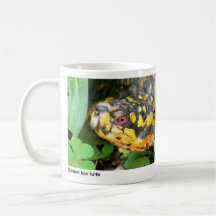 Lenni 01 tasse