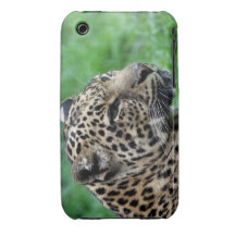 leopard blackberry bold case
