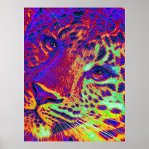 léopard de dayglow posters