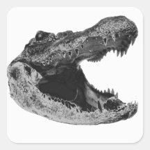 Les ALLIGATORS font Adhésifs