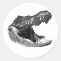 LES ATTAQUES D'ALLIGATOR ADHÉSIFS