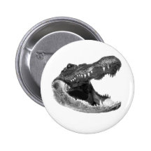 LES ATTAQUES D'ALLIGATOR PIN'S