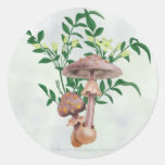 Les champignons repérés par or, étoile fleurit des