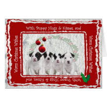 Les chiots de Jack Russell étreint et des baisers  Cartes