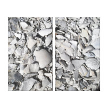 Les coquilles cassées ont enveloppé la toile toiles tendues