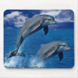 Les dauphins sautant pour la joie sur un tapis de 