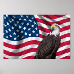 Les Etats-Unis diminuent avec Eagle chauve Affiches