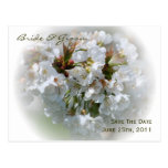 Les fleurs d'Apple sauvent la carte postale de dat
