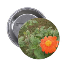 Les fleurs mexicaines oranges pin's avec agrafe