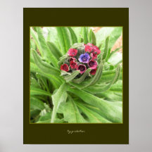 Les fleurs ont niché dans le feuille que l'affiche