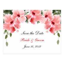 Les ketmies roses sauvent la carte postale de date