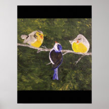 Les oiseaux affiches