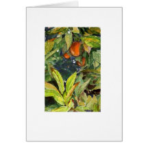 Les oranges sur l'arbre crayonnent extra sec augme cartes de vœux