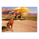 Les parapluies et les chevaux de Christo Carte De Vœux