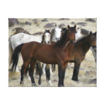 Les sauvages impression sur toile