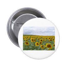 Les tournesols mettent en place - champ de tournes badge avec épingle