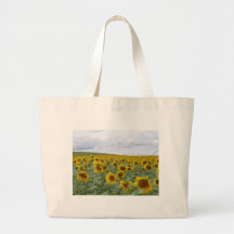 Les tournesols mettent en place - champ de tournes sacs de toile
