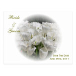 Les tulipes blanches sauvent la carte postale de d