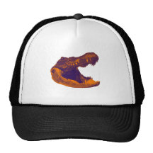 LES VOIES D'ALLIGATOR CASQUETTES DE CAMIONNEUR