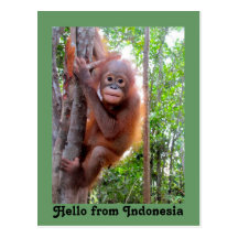 Leuk Hello van Indonesië Wenskaart