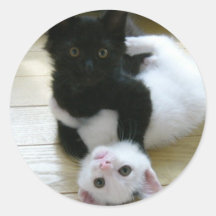Leuke Katjes Sticker