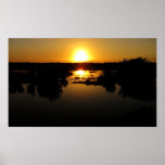 Lever de soleil dans le marais posters
