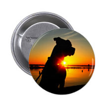 Lever de soleil de pitbull badge avec épingle