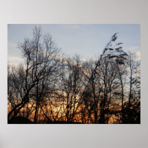 Lever de soleil de Treeline Posters