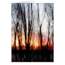 Lever de soleil vitré cartes de vœux