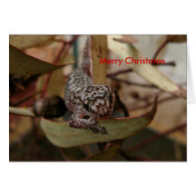 Lézard de Noël Cartes