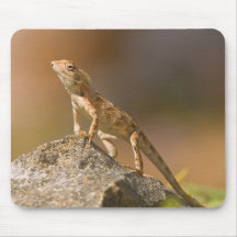 Lézard Mousepad Tapis De Souris