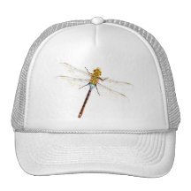 Libellule Casquettes De Camionneur