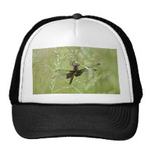 libellule casquettes de camionneur