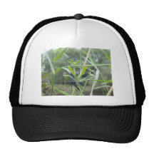 Libellule Casquettes De Camionneur