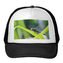 Libellule Casquettes De Camionneur