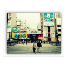 Libellules 4 Japon Cartes Postales