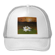 Libellules sur l'étang casquette