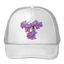 Lilas dans le printemps casquettes de camionneur