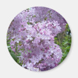 Lilas en fleur magnets pour réfrigérateur