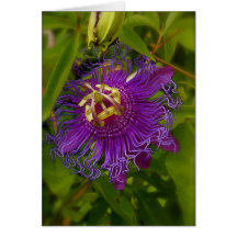Lilikoi ou fleur de passion cartes de vœux