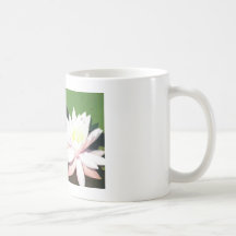 lillypad mugs