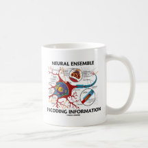 L'information neurale de codage d'ensemble (neuron tasse à café