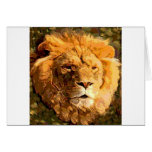 Lion 2 carte de vœux