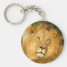 Lion africain porte-clefs