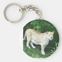 Lion femelle porte-clés