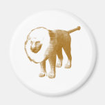 Lion lion aimants