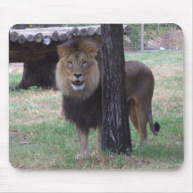 Lion Mousepad Tapis De Souris