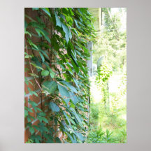 Lion Tuong Posters