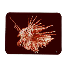 Lionfish Rechthoekige Magneten