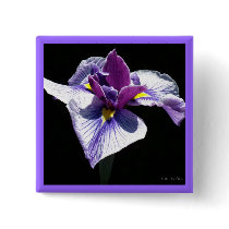 L'iris pourpre le plus bleu pin's avec agrafe